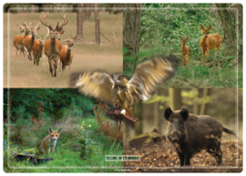 Placemat: Wild op de Veluwe