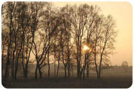 Placemat: Veluws landschap met opkomende zon