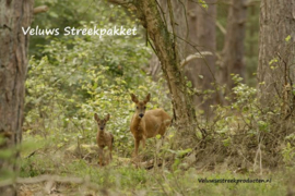 Streekpakket - Heerlijk Veluws