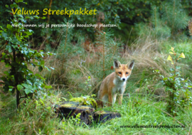 Veluws Streekpakket - Jong vosje op de uitkijk