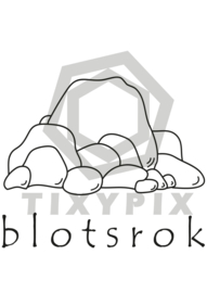 Blotsrok - witte print