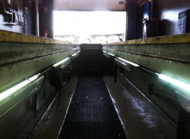 Line Light 6