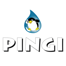 Pingi