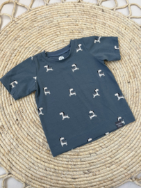Shirt jongens | ZEBRA