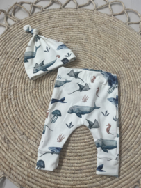 Newborn setje | WALVIS