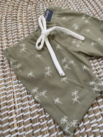 Korte broek | PALMBOMEN