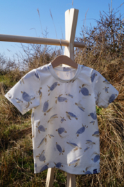 Shirt jongens | SCHILDPAD