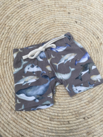 Short | WALVIS