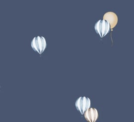 Hoeslakentje | LUCHTBALLON