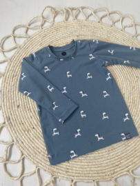 Shirt jongens | ZEBRA