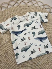 Shirt jongens | WALVIS