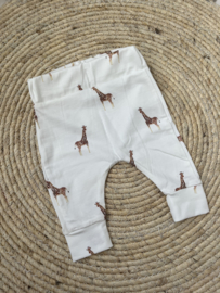 Broekje | GIRAFFE
