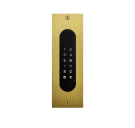 Fasttel FTBG26KF | Codeklavier/Badgelezer/Bluetooth/NFC: 1 relais, Wiegand en Cloud. Bronze goud, inbouw, 62x188x30 mm  (HO)