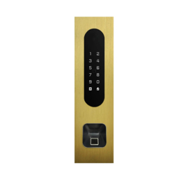 Fasttel FTBG26KF-EKEY | Codeklavier/Badgelezer/Bluetooth/NFC: 1 relais, Wiegand en Cloud. Bronze goud inbouw met Ekey lezer uitsparing 77x257x30 mm  (HO)
