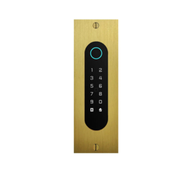 Fasttel FTBG26KF-QR | Codeklavier/Badgelezer/Bluetooth/NFC/QR lezer: 1 relais, Wiegand en Cloud. Bronze goud, inbouw, 62x188x30 mm (HO)