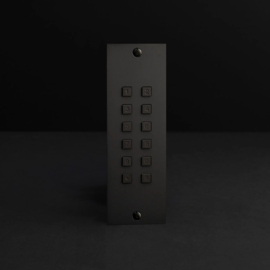 Fasttel FTBM23KF | Toegangsklavier Brons mat stand alone 2 relais+wiegand inbouw 55x166x25mm  (HO)