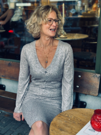 Ana alcazar, paillettenjurk zilver