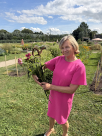 Start opheffingsuitverkoop op  2 september