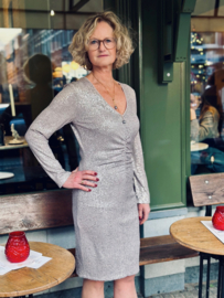 Ana alcazar, paillettenjurk zilver