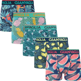 Gianvaglia Heren Boxer 5-Pak Tropical
