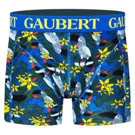 Gaubert Heren Boxer Papagaai 3-Pak