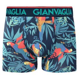 Gianvaglia Heren Boxer 5-Pak Tropical