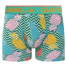 Gianvaglia Heren Boxer 5-Pak Tropical