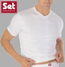 SET 56078 Heren T-Shirt V- hals