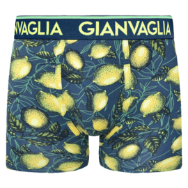 Gianvaglia Heren Boxer 5-Pak Tropical
