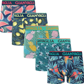 Gianvaglia Heren Boxer 5-Pak Tropical