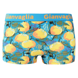 Dames Katoenen Boxers Gianvaglia 5-Pak