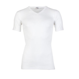 Beeren Heren T- Shirt V hals Korte Mouw Gekleurd