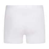 BEEREN HEREN BOXERSHORT DYLAN WIT MET GULP 2-PAK