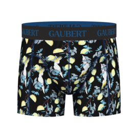 Gaubert Heren Bamboe Boxershort 3-pack