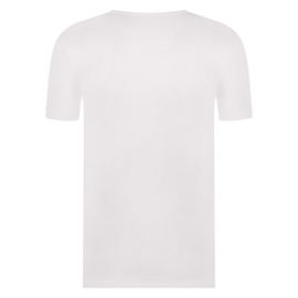 Beeren Green Comfort T-Shirt V -hals Vince