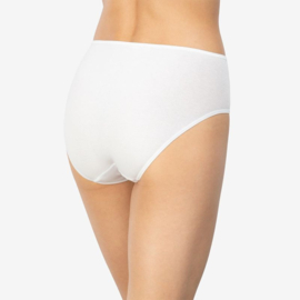 Avet 3267 Dames Midi Slip Katoen (Heup)