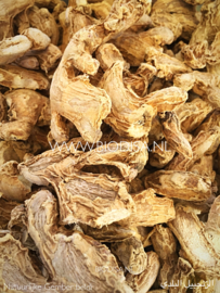 Natuurlijke hele Gember wortel-gedroogd  (Zingiber  officinale) (الزنجبيل البلدي (كامل