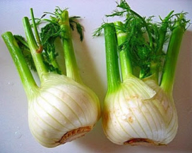 Natuurlijke Marokkaanse Venkel zaad (Foeniculum vulgare) (حبوب النافع البلدي (منطقة شيشاوة