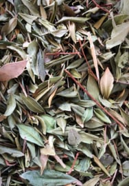 Marokkaanse gedroogde Basilicum الريحان البلدي