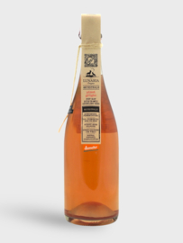 Ramoro Pinot Grigio Ancestrale Pet Nat