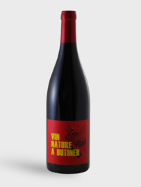 Domaine Romy Vin Nature à Butiner