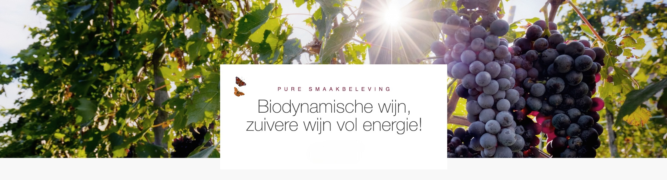 Biodynamische wijn Home page