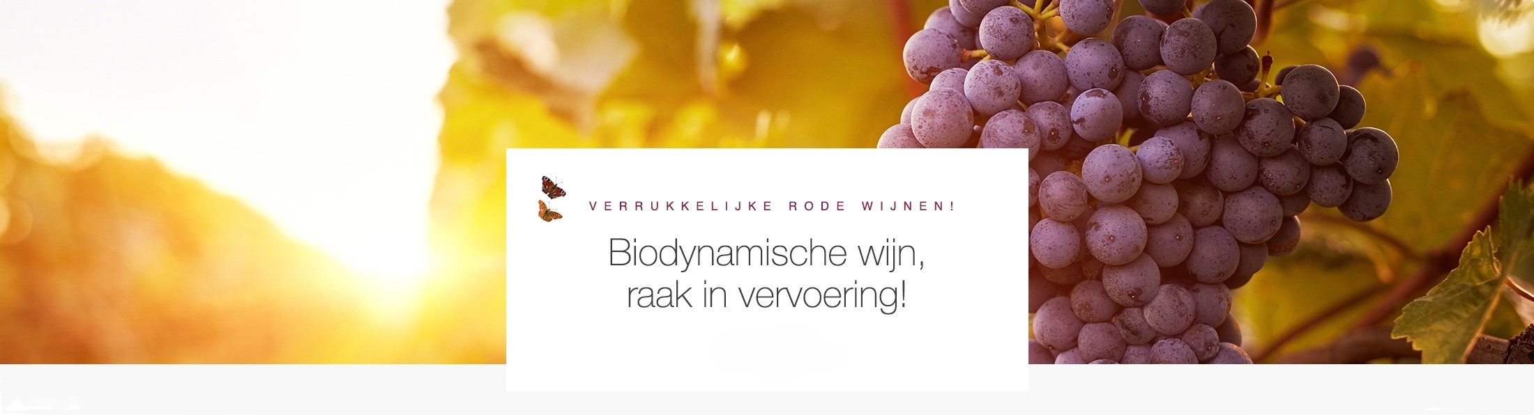 Rode wijn
