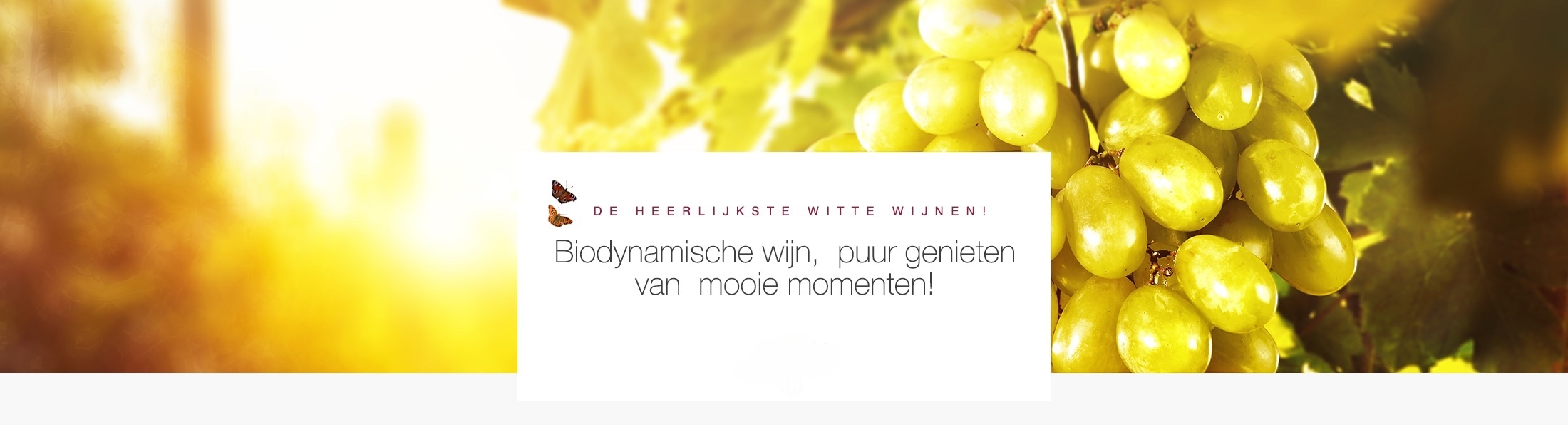 Witte wijn