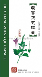 Huo xiang zheng qi wan - Astachi Form - 藿香正气胶囊