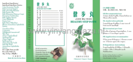Jian Bu Wan - Healthy Step Form  - 健步丸