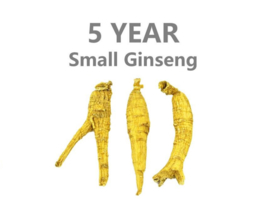 *Sale* Canada Ginseng | 5 jaar | klein |100 Gram