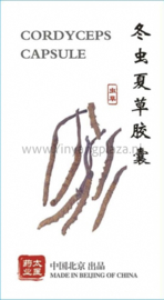 Dongchong Xiacao Capsule - Gordyceps Capsule