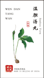 Wen Dan Tang Wan - Bambus Form - 温胆汤丸