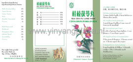 Gui Zhi Fu Ling Wan - Cinnamon Poria Form - 桂枝茯苓丸